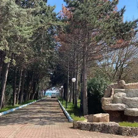 Oda ve Kahvaltı Mavidebul